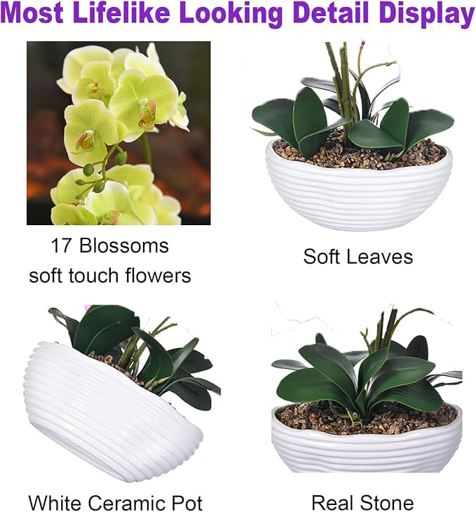 19" H Phalaenopsis Faux Orchid Plant Silk Orchid Centerpiece Artificial Floral Arrangement in Ceramic Pot (Apple Green)