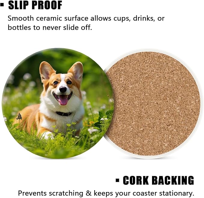 Welsh Corgi on Green Grass Colorful Set of 4 Ceramic Coasters with Holder,Absorbent Drink Bar Coasters,Table Coasters