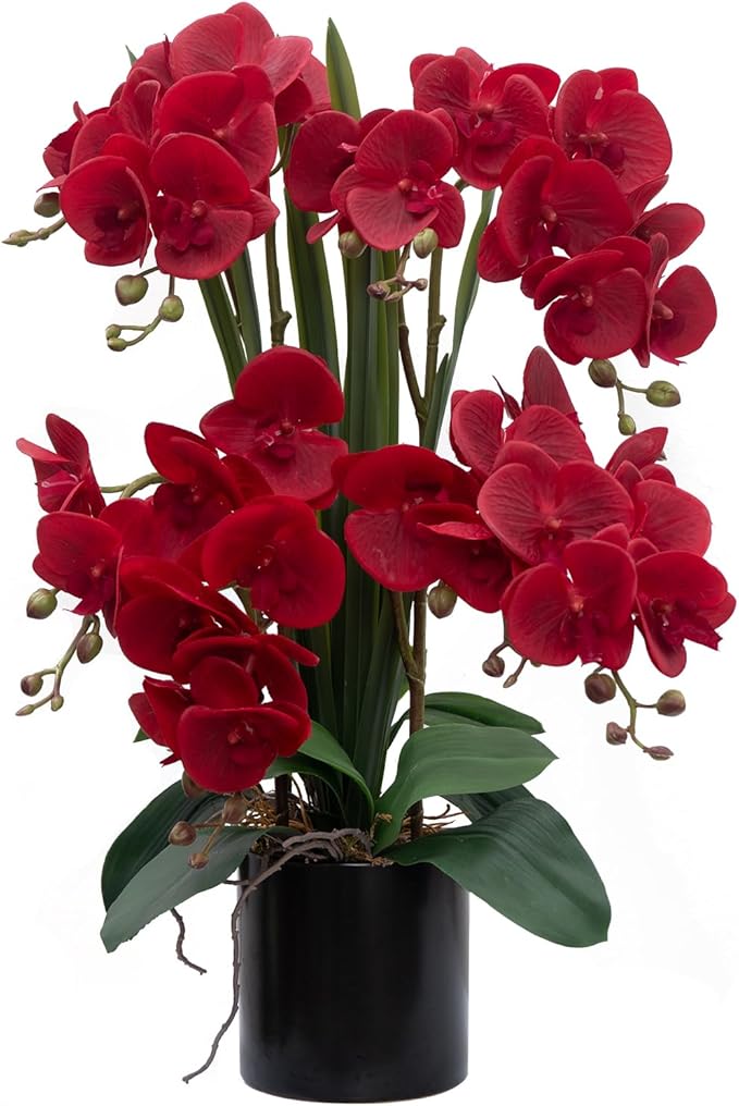 CXGS Artificial Orchid Flower Plants Real Touch Faux Orchids in Ceramic Vase 20.9'' Red Phalaenopsis Orchid Fake Flower Arrangement Home Indoor Decor