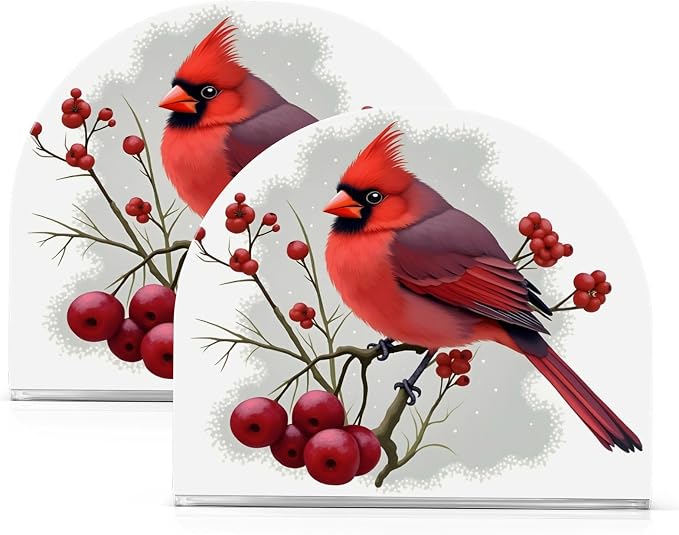 Winter Red Bird Napkin Holder for Tables Paper Cocktail Napkin Holders for Kitchen and Dinning, Acrylic Dinner Napkin Dispenser for Restaurant Home Decor Bar Accessories 1 Pack