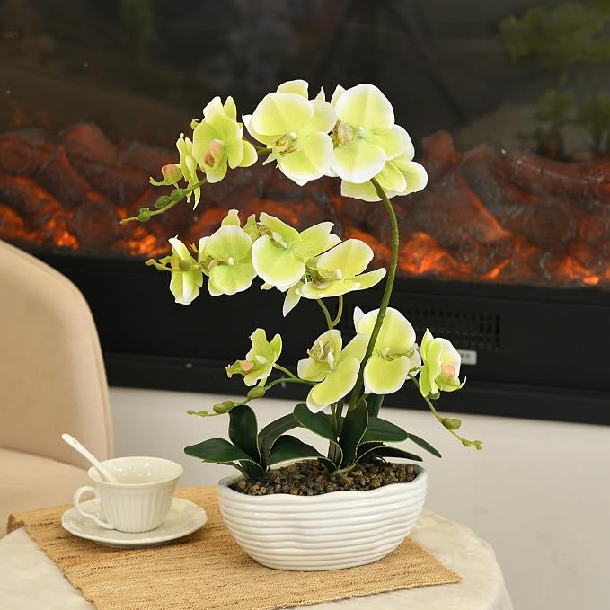 19" H Phalaenopsis Faux Orchid Plant Silk Orchid Centerpiece Artificial Floral Arrangement in Ceramic Pot (Apple Green)