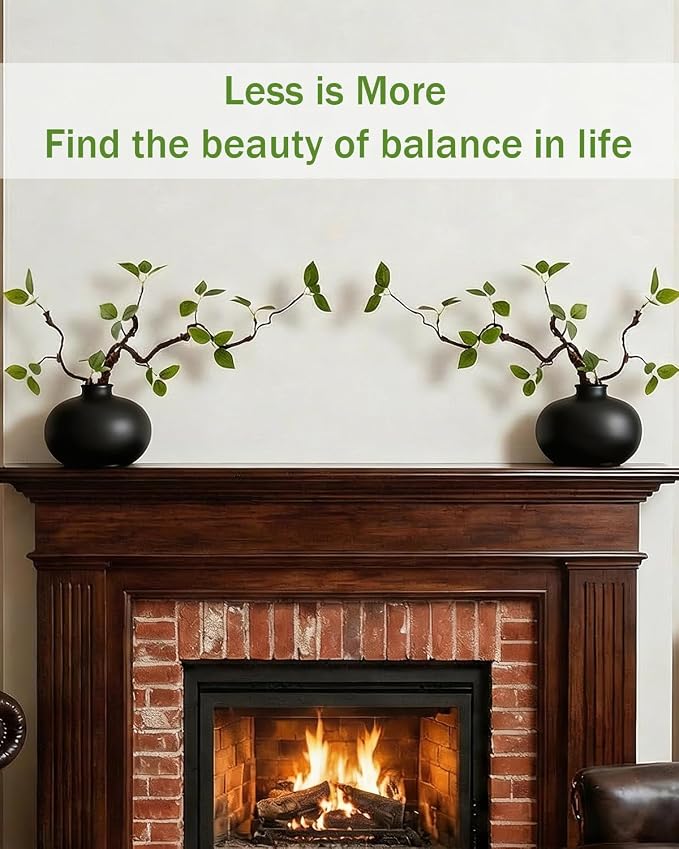 Vase with Greenery, 1 pc Artificial Stem with Black Vase, 20" Decorative Fake Plants Indoor, Small Plant for Bathroom Living Room Office Coffee Table Mantel Bookshelf Centerpiece Decor-Black