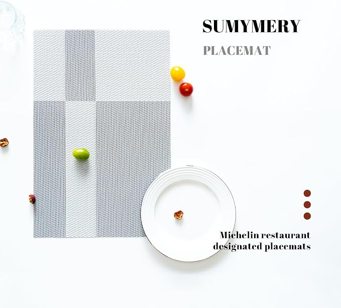 Placemats Set of 4 Vinyl/Plastic Woven Place Mats for Kitchen Table Indoor/Outdoor Washable Placemat Wipeable Dining Table Mats (Silver Cube,4)