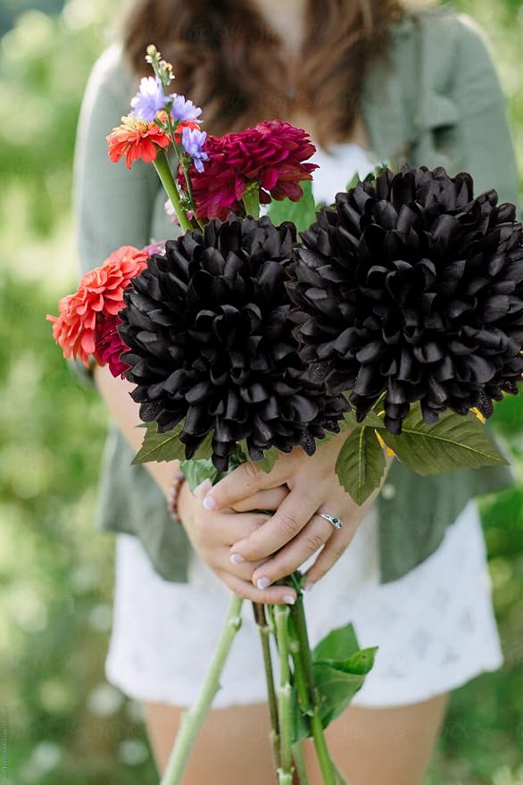 Briful Autumn Artificial Chrysanthemums Ball Flowers 6’’ Large Heads Mums Stems Black Fake Hydrangea Flowers Bouquet for Home Halloween Wedding Fall Decorations, Set of 4