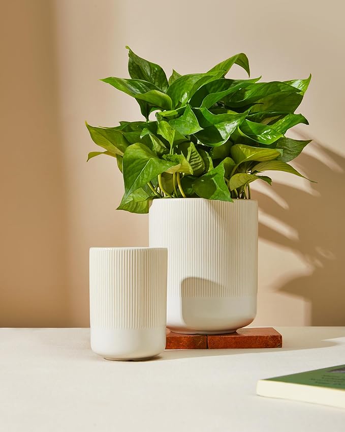 Pokini Utensil Holder, 7.3"+5.3" Large Ceramic Kitchen Utensil Holder for Countertop, Cooking Utensil Holder for Kitchen Counter, Kitchen Tool Holder, Modern Farmhouse Decor, Matte White