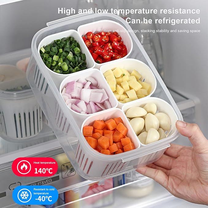 Reusable Veggie Tray with Lid, 6-Compartment Divided Snack Box Container & Fridge Organizer, Meal Prep Spice Case, Divided Food Storage Containers, Chilled Condiment Server & Vegetable Organizer