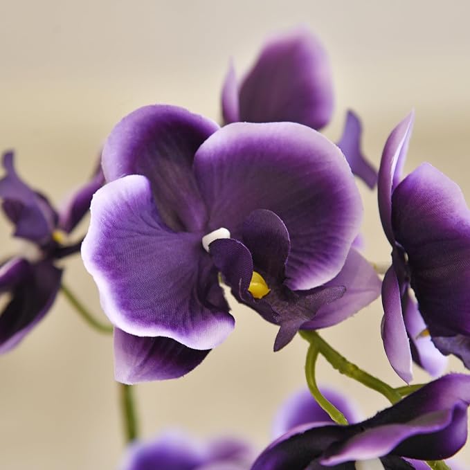 19" H Phalaenopsis Faux Orchid Plant Silk Orchid Centerpiece Artificial Floral Arrangement in Ceramic Pot (Deep Purple)