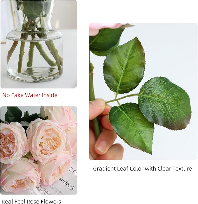 6Pcs Fake Austin Rose Peonies Flowers with Vase, Clear Glass Vase with Pink Real Touch Peonies Artificial Flowers Home Decor(Pink)