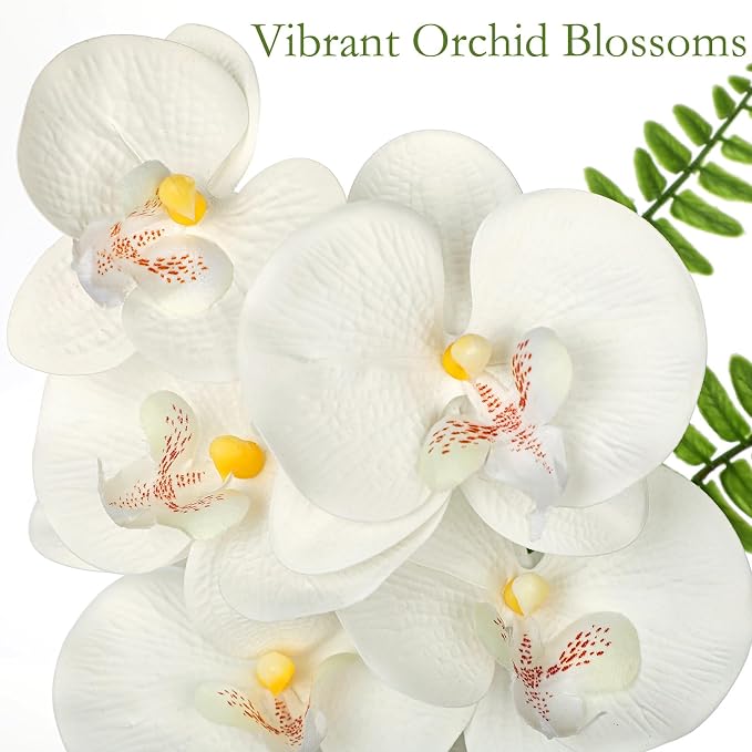 Artificial Orchids Flowers in Vase Faux Orchids Arrangement Small White Orchid with Plant in Glass Vase Black and White Decor Fake Phalaenopsis Orchid Centerpiece for Bathroom Dining Room Table