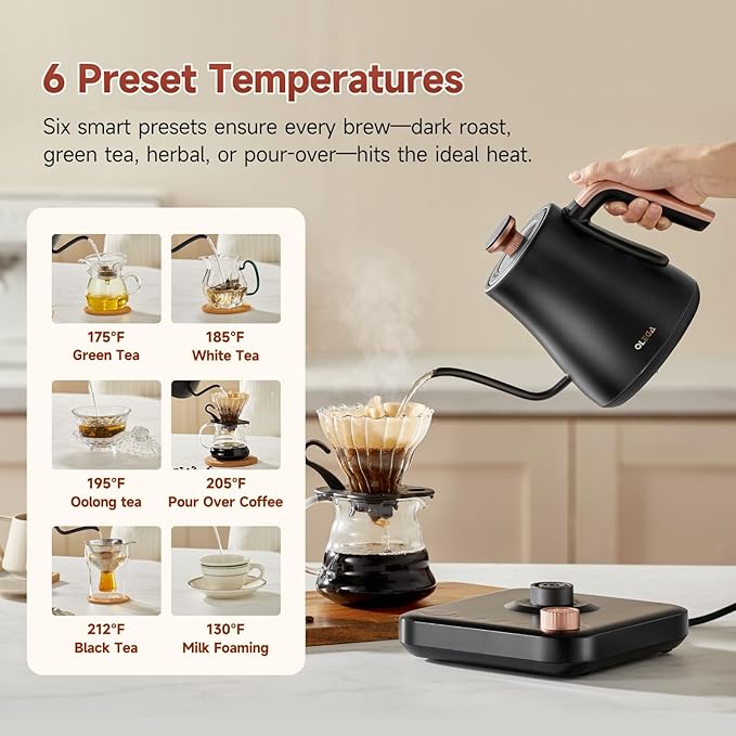 OLEGA Gooseneck Electric Kettle: 1000W Electric Kettles with Temperature Control 0.8L Stainless Steel Electric Tea Kettle Gooseneck Kettle for Coffee Tea Keep Warm (Black)