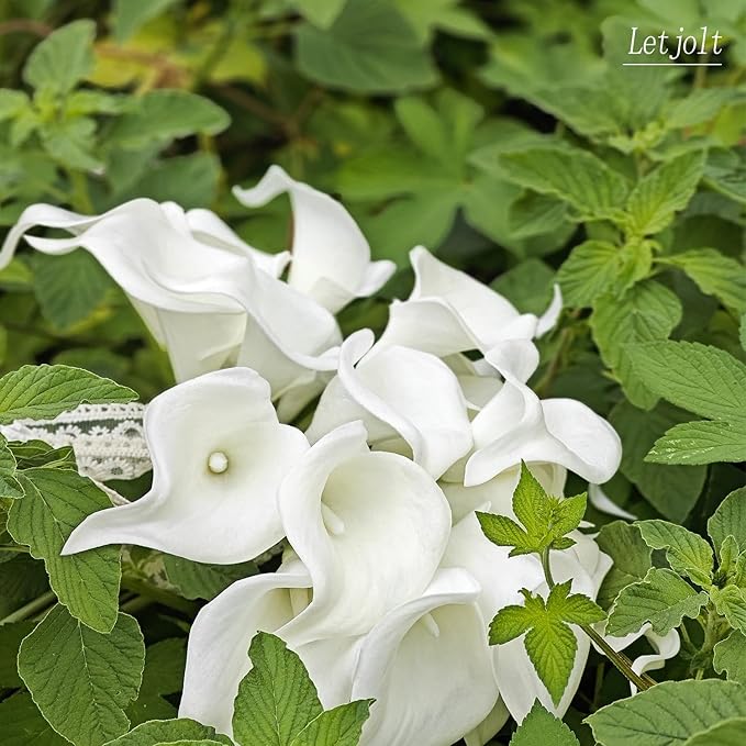 Letjolt White Calla Lily 20Pcs Artificial Flowers Bouquet for Wedding Bride Shower Blessing Gift Home Decoration Faux Calla Lilies Flower, 20 Pieces