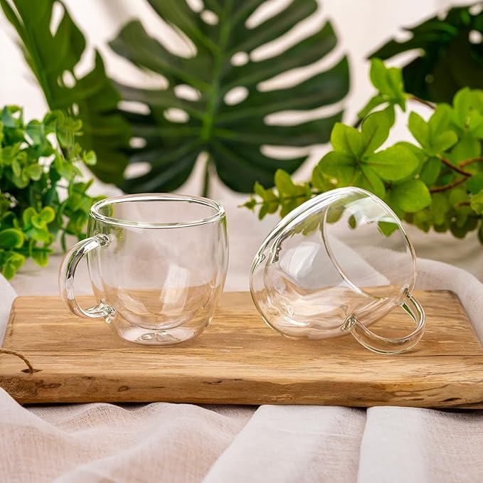 Double Wall Glass Espresso Cups 5oz/150ml, A set of 2, Thermo Insulated Borosilicate Glass Cups with Handle
