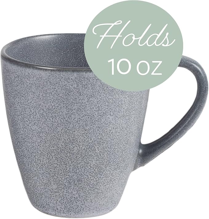 Elanze Designs Sophisticated Modern Chic Smooth Ceramic Stoneware Dinnerware Mugs Cups Set of 4 - Slate Grey