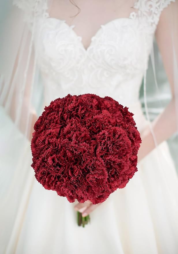Red Carnations Artificial Flowers 15pcs Real Touch Carnation Flowers Silk Flowers with Stems for Wedding Bouquets for Bridal Home Table Centerpieces Floral Arrangements (Red)
