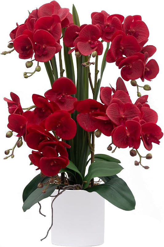 CXGS Artificial Orchid Flower Plants Real Touch Faux Orchids in Ceramic Vase 20.9'' Red Phalaenopsis Orchid Fake Flower Arrangement Home Indoor Decor
