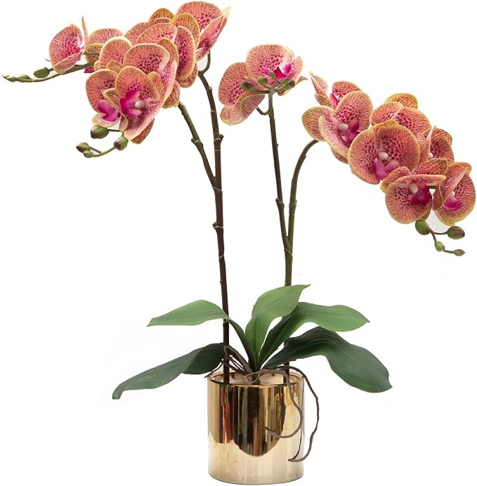 CXGS Artificial Orchid Flower Plant Real Touch Faux Orchids in Ceramic Vase Purple Dapple 19.7'' Fake Phalaenopsis Flower Arrangement Centerpiece Home Indoor Decor