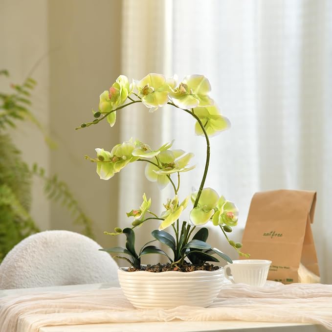 19" H Phalaenopsis Faux Orchid Plant Silk Orchid Centerpiece Artificial Floral Arrangement in Ceramic Pot (Apple Green)