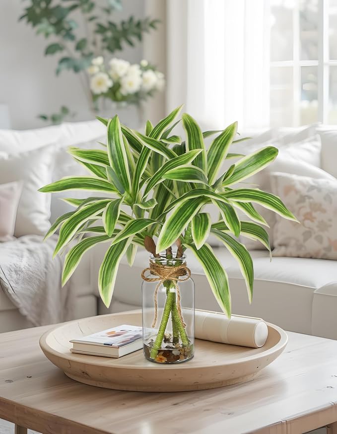 Faux Greenery Stems in Vase Dracaena Aritificial Plant in Glass Vase with Faux Water & Stones 15.7" Small Potted Plants Arrangement Centerpieces for Farmhouse Kitchen Dinner Tables Greenery Decor