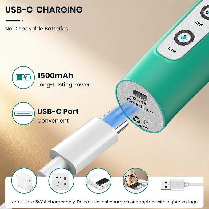 Colarlemo Milk Frother Handheld Rechargeable, Frother Wand Drink Mixer Electric Whisk for Coffee, Detachable With 3 Stainless Whisks, Hand Mixer for Lattes, Cappuccino, Matcha, Egg, No Stand, Green