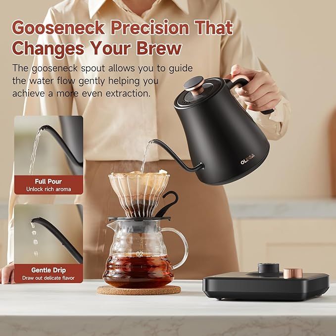 OLEGA Gooseneck Electric Kettle: 1000W Electric Kettles with Temperature Control 0.8L Stainless Steel Electric Tea Kettle Gooseneck Kettle for Coffee Tea Keep Warm (Black)