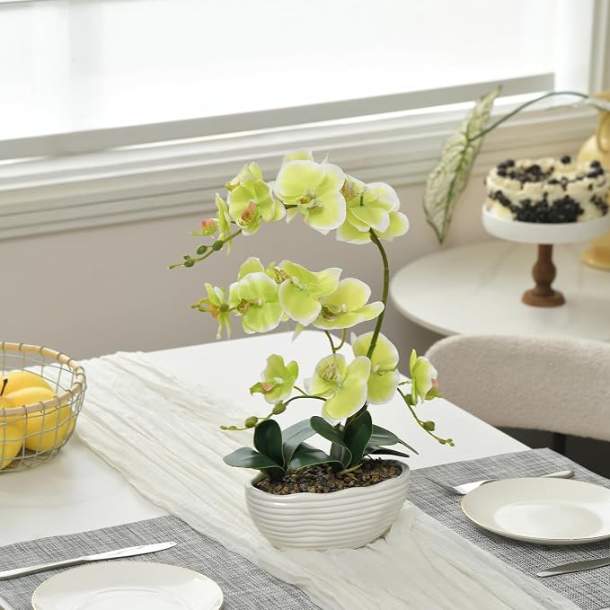 19" H Phalaenopsis Faux Orchid Plant Silk Orchid Centerpiece Artificial Floral Arrangement in Ceramic Pot (Apple Green)