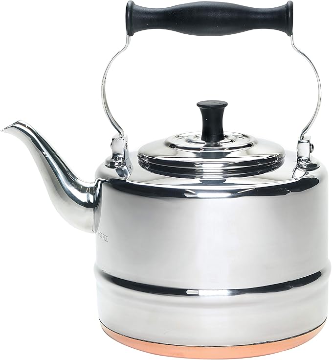 BonJour Tea Stainless Steel and Copper-Base Gooseneck Teapot / Teakettle, 2-Quart