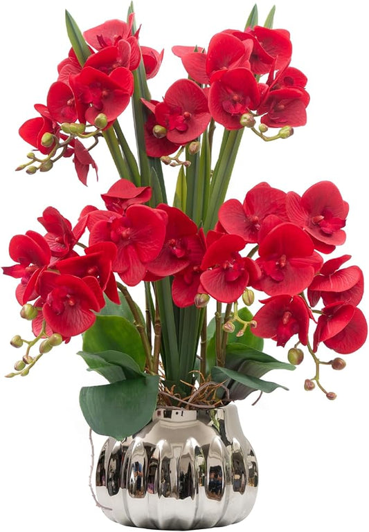 CXGS Artificial Orchid Flower Real Touch Faux Orchids in Ceramic Vase Large 22.9'' Fake Flowers Red Phalaenopsis Floral for Home Indoor Decor