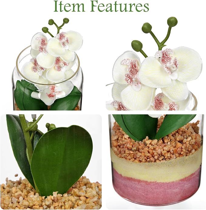 White Orchids Artificial Flowers with Vase, Small Faux Orchid Arrangement Fake Orchids Plant in Terrarium Jar Small White Orchid Centerpieces for Kitchen Dining Room Tables Bathroom Nightstand Decor