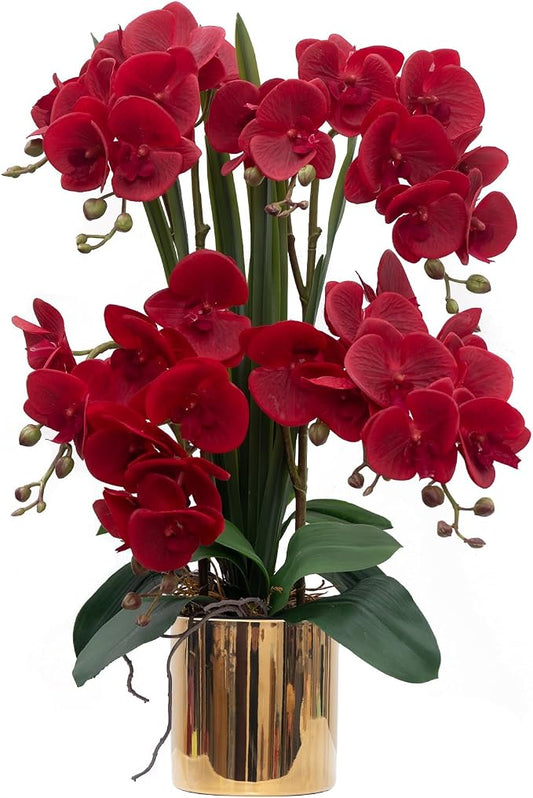 CXGS Artificial Orchid Flower Plants Real Touch Faux Orchids in Ceramic Vase 20.9'' Red Phalaenopsis Orchid Fake Flower Arrangement Home Indoor Decor