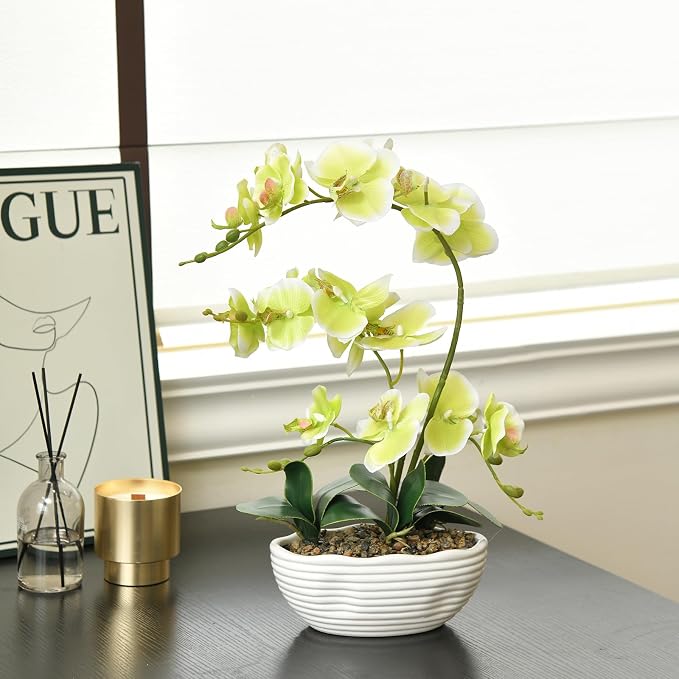 19" H Phalaenopsis Faux Orchid Plant Silk Orchid Centerpiece Artificial Floral Arrangement in Ceramic Pot (Apple Green)