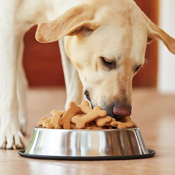 FUSOTO 8PCS Dog Paw Bone Cookie Cutter Set, Stainless Steel Baking Supplies for Homemade Cookies, Dog Paw Bone Cookie Cutters Shapes Biscuit Molds for Treat