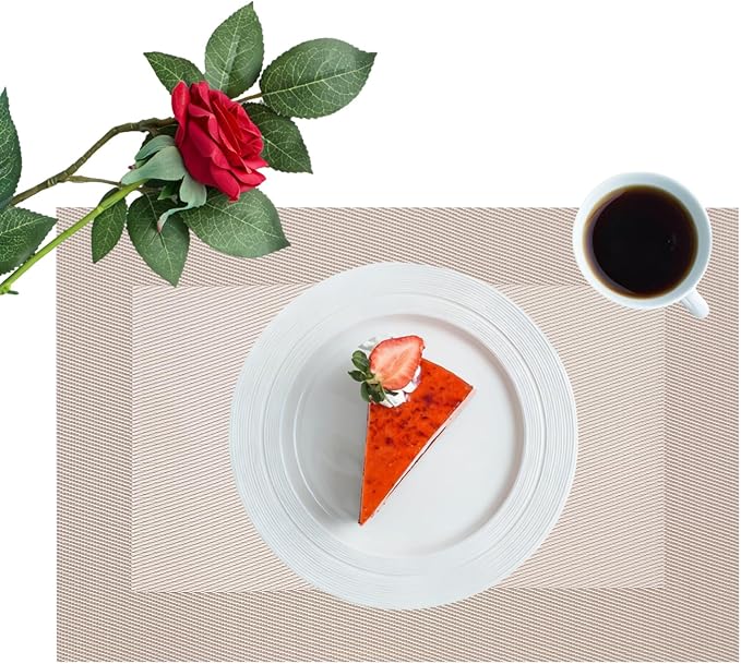 Placemats Set of 6-Heat Resistant Non-Slip Washable Table Mats for Dining Table,PVC Vinyl Woven,12 x 18 inch Beige