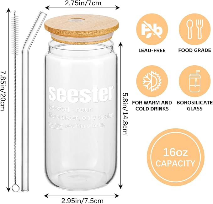 Sister Birthday Gifts - Sisters Gifts from Sister - Funny Best Friend Bestie Bff Sis Mothers Day Gift, Friendship Soul Sis Gift for Women, Present for Sisters - 16 Oz Seester Definition Glass Cup