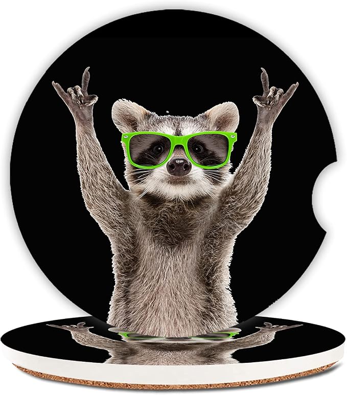 Funny Raccoon Absorbent Cup Holders Car Coasters,Ceramic Stone Drinks Coaster Set for Women Man 2.56"(2 Pack)