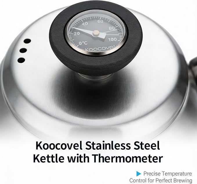 Gooseneck Kettle Stovetop 1.2L (40 oz) with Thermometer & 40 Filters - Stainless Steel Long Spout Tea Kettle for Precision Pour Over Coffee,drip coffee and Tea