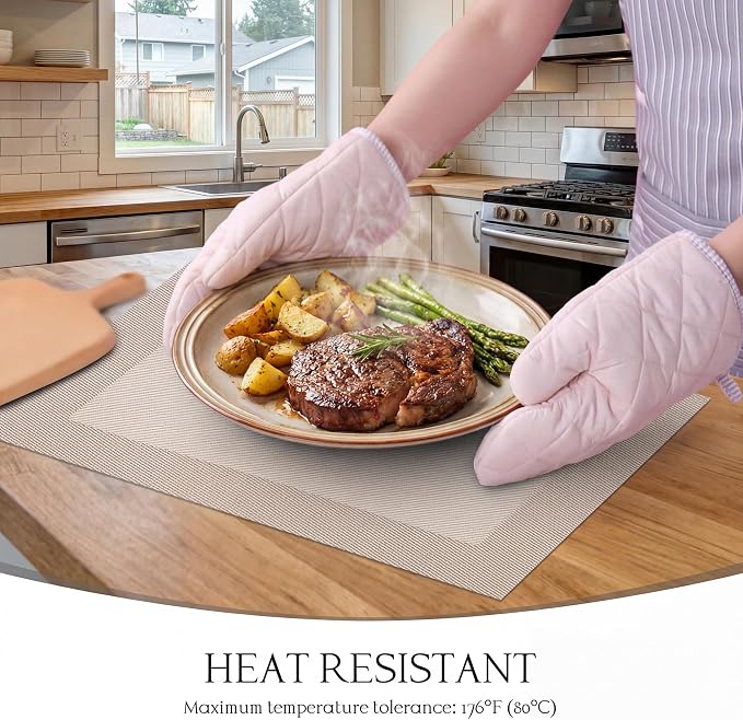 Placemats Set of 6-Heat Resistant Non-Slip Washable Table Mats for Dining Table,PVC Vinyl Woven,12 x 18 inch Beige