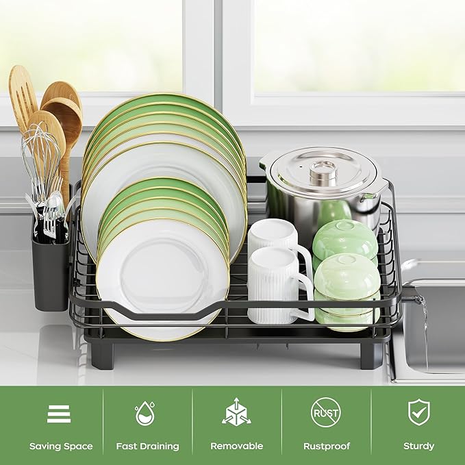 ROTTOGOON Dish Drying Rack, Stainless Steel Rustproof Dish Rack for Kitchen Counter, Sturdy Dish Drainer with Drainboard, Drainage, Utensil Holder for Various Kitchenware, 16.2"(L) x 12.6"(W), Black