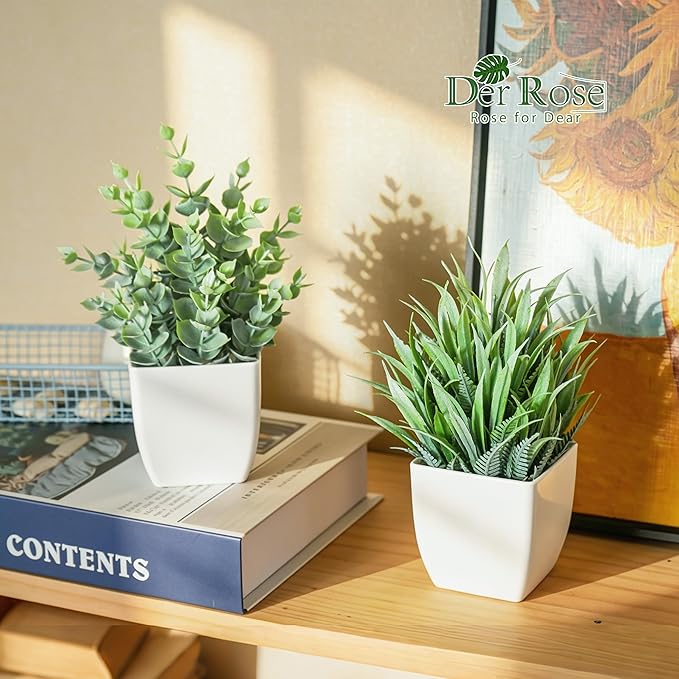 Der Rose 2 Pack Small Fake Plants Mini Artificial Potted Plants for Table Desk Home Laundry Room Bathroom Office Decor