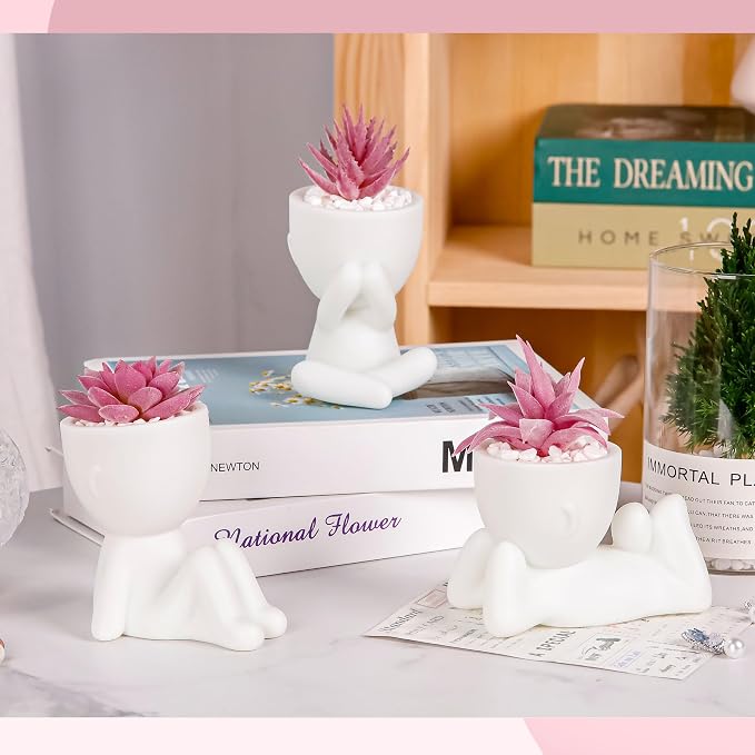 Der Rose 3 Pcs Fake Succulents Plants Artificial Pink Room Office Desk Decor for Women
