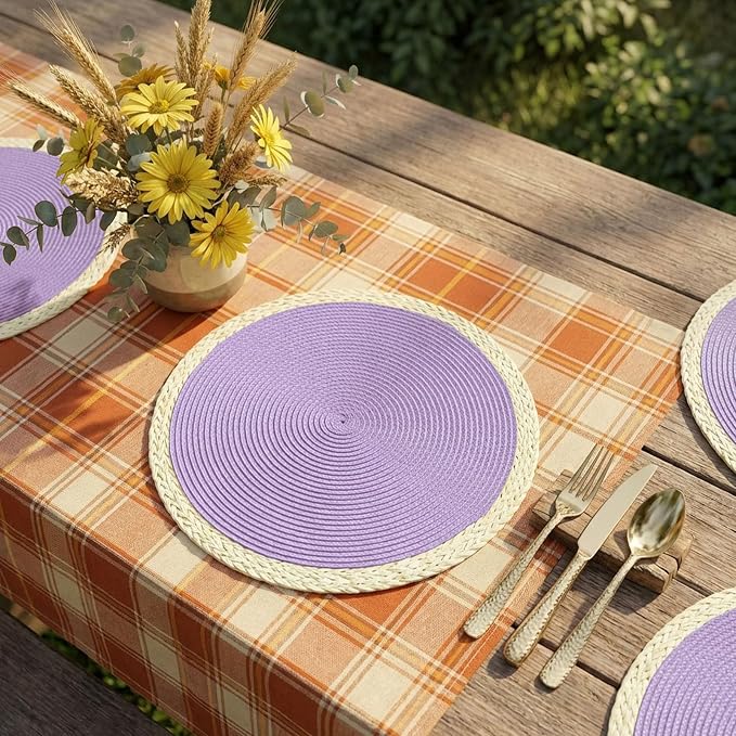 Noctiflorous Braided Round Placemats Set of 6, 15 Inch Woven Table Mats, Non-Slip Washable Place Mats for Kitchen Dining Table Decor (Mint Purple, 6)