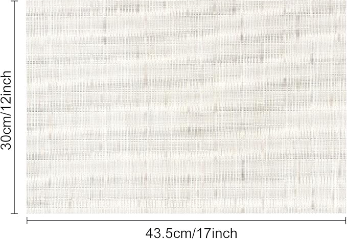 Myir JUN Placemats Set of 10, Vinyl Woven Placemats Place Mats Indoor Set of 10 Washable Table Mats Non-Slip Place mats for Dining Table (B-Off White)