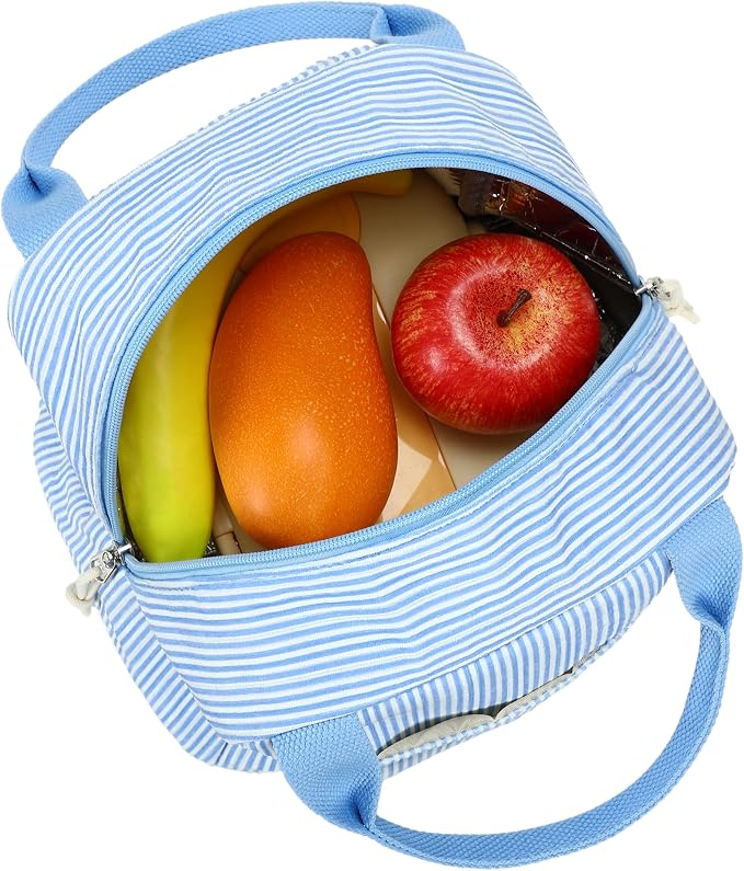 LEDAOU Lunch Box for Women Insulated Lunch Bag Corduroy Lunch Tote Bags Leakproof Cooler Lunch Case for Travel Work Picnic (K-Stripes-Blue)