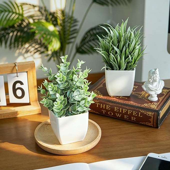 Der Rose 2 Pack Small Fake Plants Mini Artificial Potted Plants for Table Desk Home Laundry Room Bathroom Office Decor