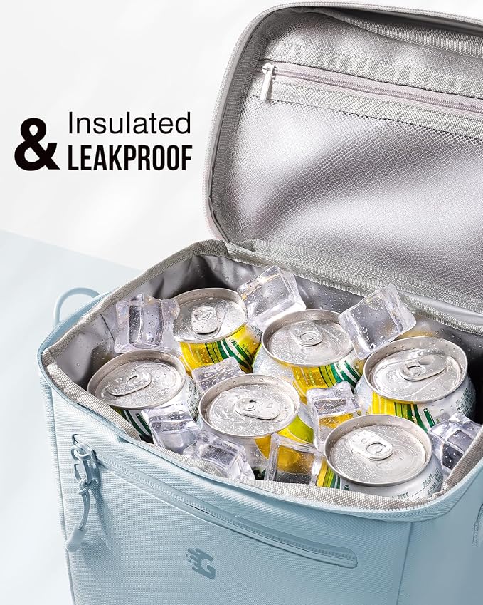 GLORIEROO Insulated Lunch Box Bag Women - Waterproof Leakproof Lightweight Reusable Cooler for Work Picnic