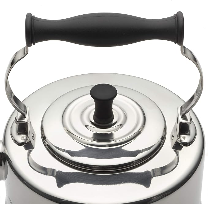 BonJour Tea Stainless Steel and Copper-Base Gooseneck Teapot / Teakettle, 2-Quart