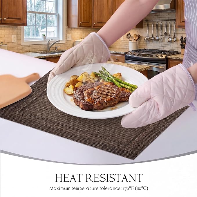 Placemats Set of 6-Heat Resistant Non-Slip Washable Table Mats for Dining Table,PVC Vinyl Woven,12 x 18 inch Brown