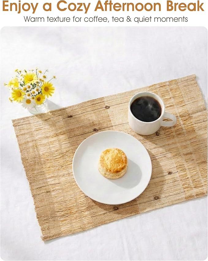 Placemats Set of 6, Ramie Placemats for Dining Table, Natural Woven Place Mats, Heat Resistant Washable Table Mats, Farmhouse Boho Table Decor, Housewarming Gift