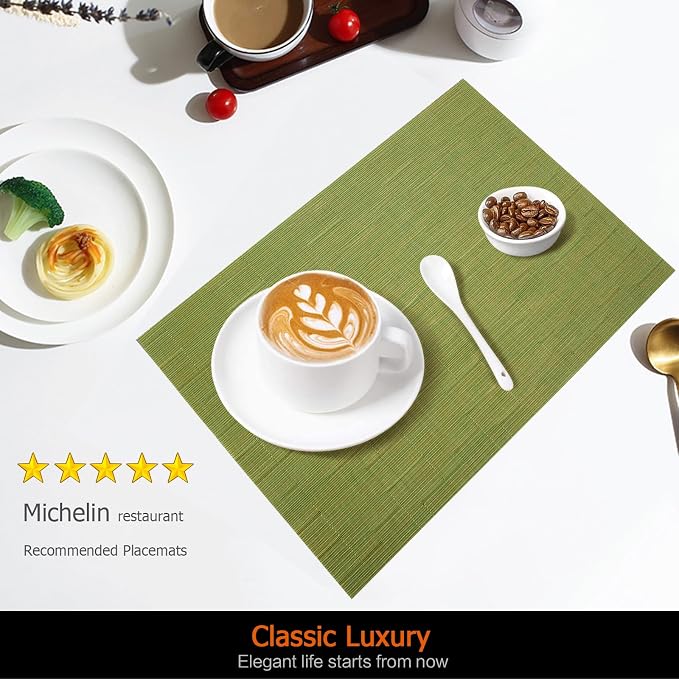 Placemats Set of 6 Washable&Wipeable Place mats for Dining Table Kitchen Indoor Outdoor Table Mats Heat Resistant Non Slip Woven Vinyl Table Placemats (Green，6PCS)