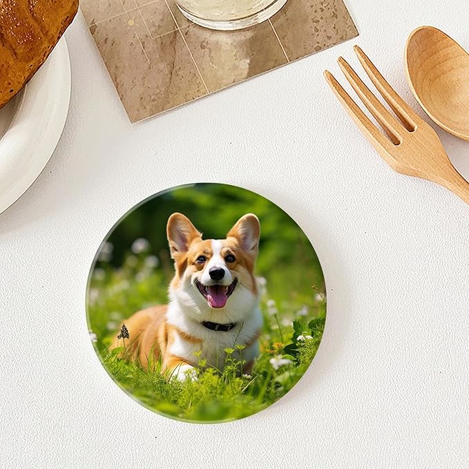 Welsh Corgi on Green Grass Colorful Set of 4 Ceramic Coasters with Holder,Absorbent Drink Bar Coasters,Table Coasters